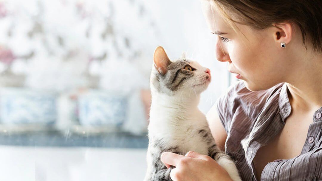 Fussy Cat Eaters Purina New Zealand